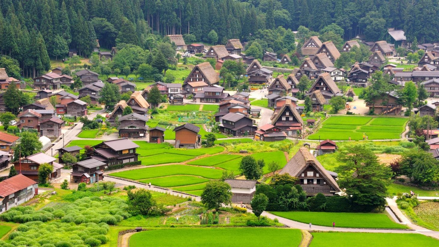 Tỉnh Gifu - Một góc nhìn yên bình Nhật Bản