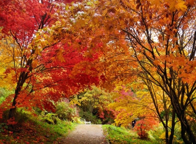 10 điểm đến mùa thu tuyệt vời nhất ở London