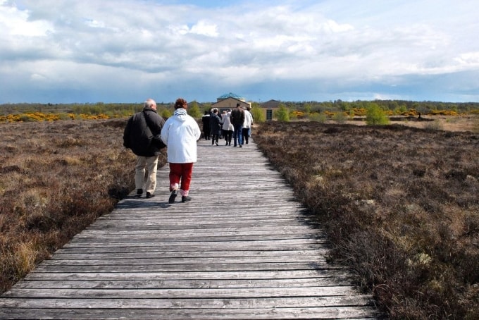 Con đường gỗ 2000 năm tuổi ở vương quốc Anh