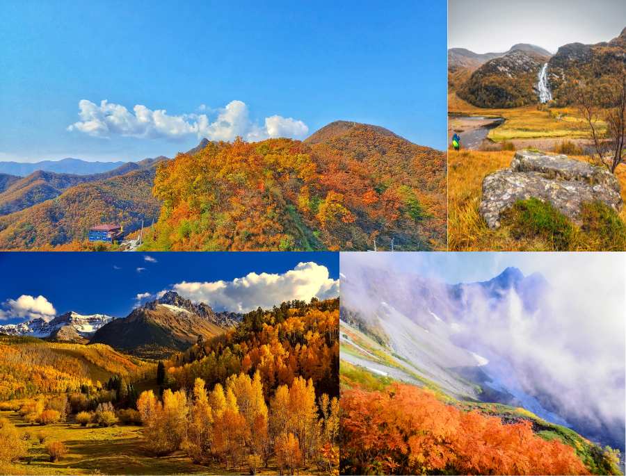 Những biểu tượng mùa thu của nước Úc