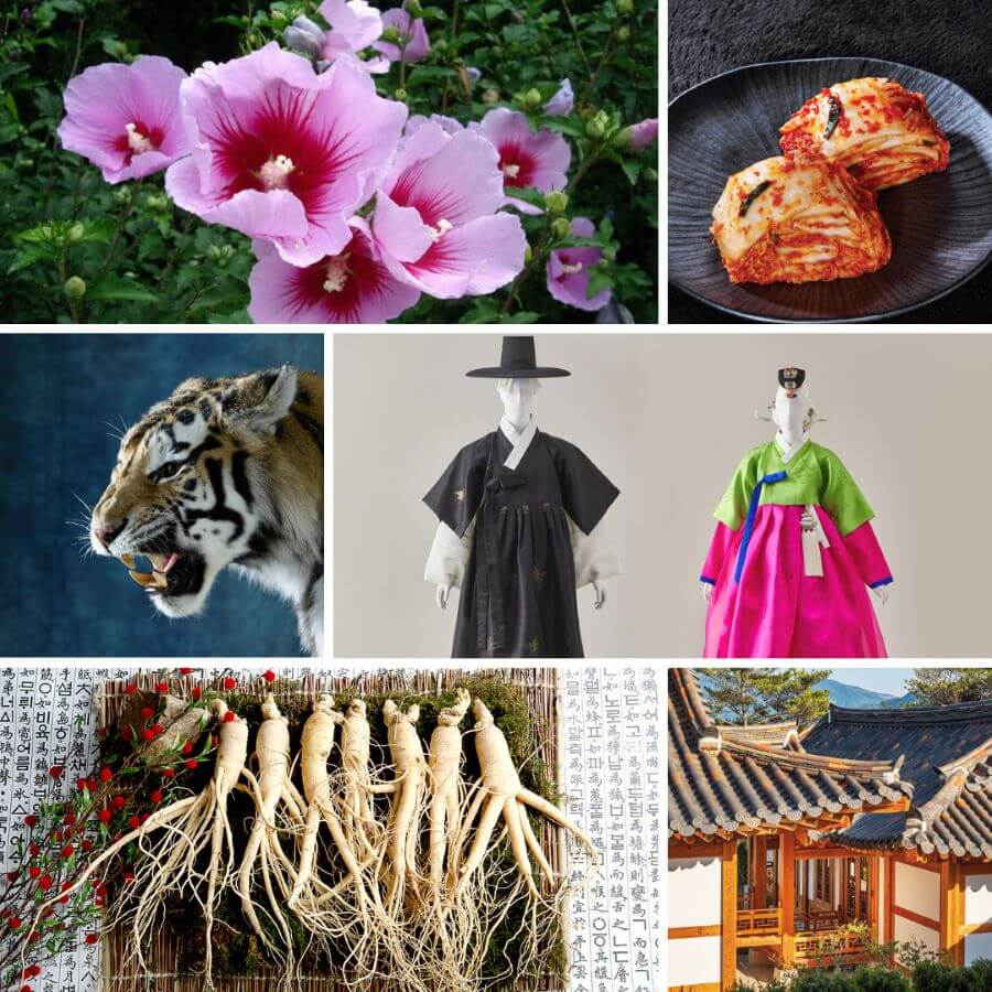 Tìm hiểu những biểu tượng đặc trưng tại Hàn Quốc