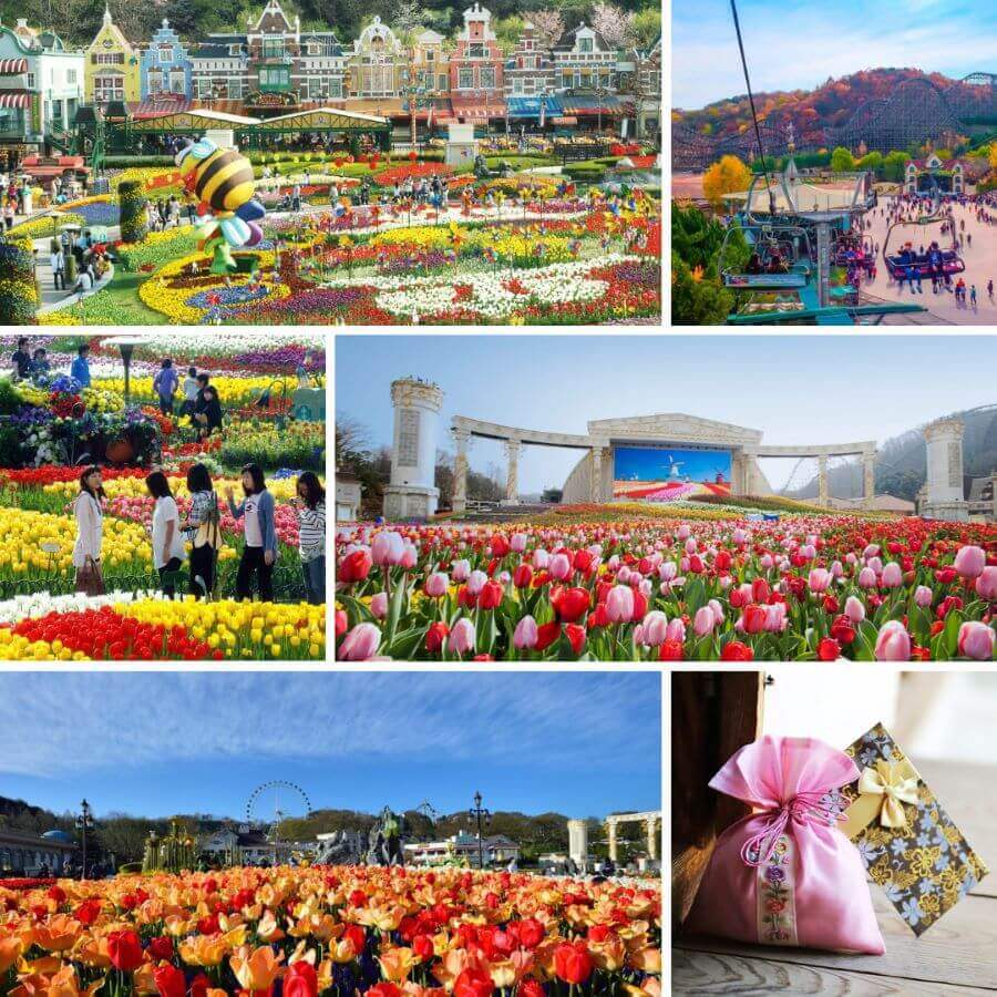 Hoà mình vào Lễ hội hoa Tulip Everland thú vị tại Hàn Quốc