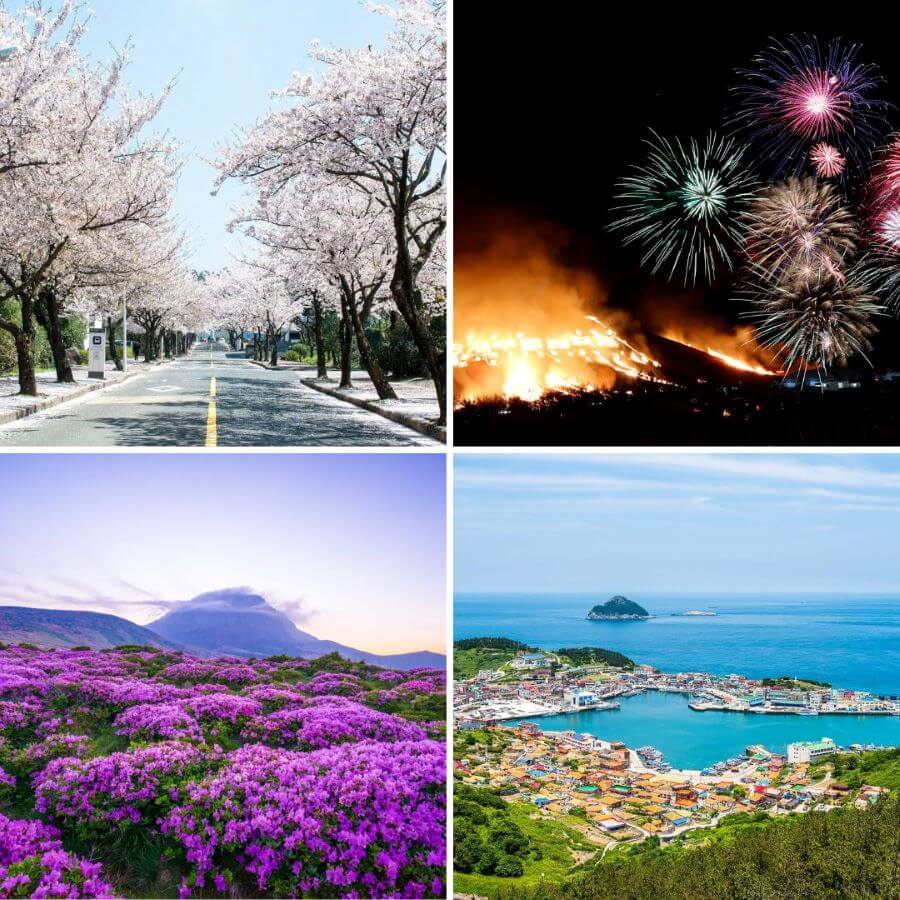 Du lịch Jeju mùa xuân có gì thú vị?