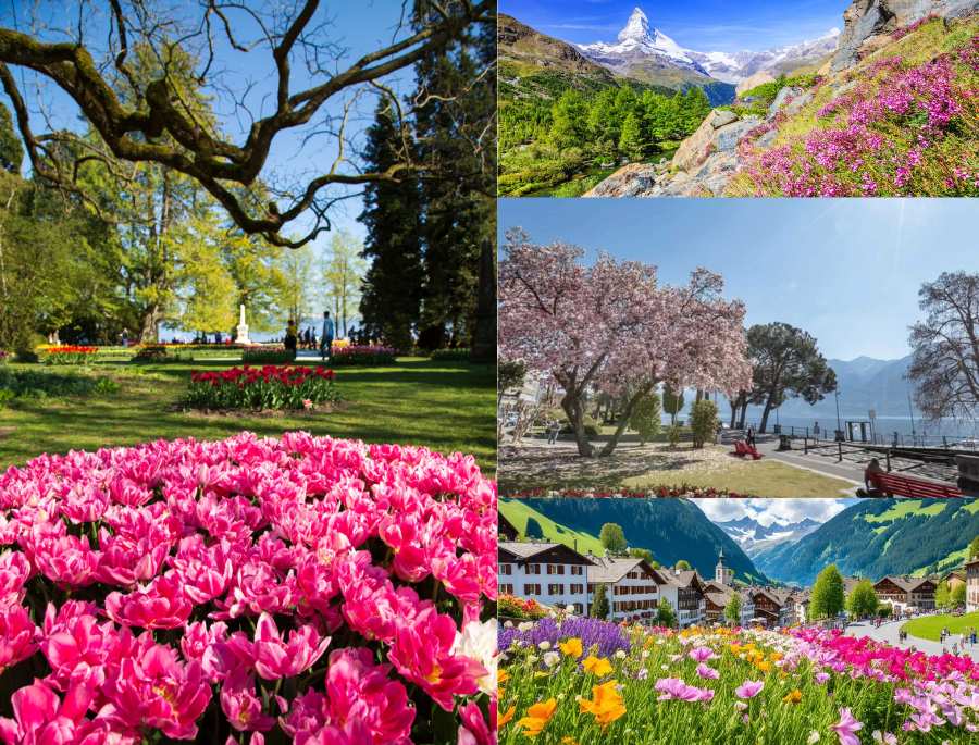 Tại sao Bạn nên du lịch Thuỵ Sĩ?