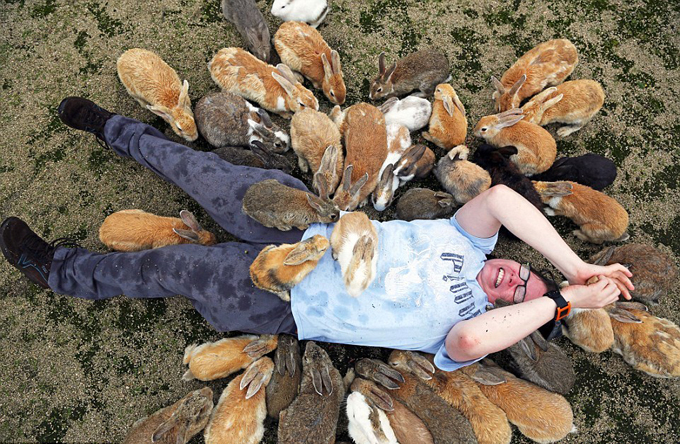 Thiên đường cho những du khách yêu động vật