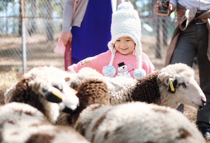 Sở thú 'thân thiện' ở Đà Lạt cho tín đồ yêu động vật