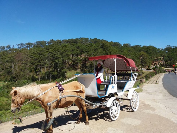 5 'không' cần ghi nhớ khi du lịch Đà Lạt