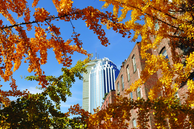 Nét đẹp 4 mùa nước Mỹ