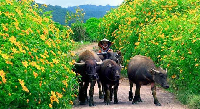 Tháng 10 và những chuyến 'xê dịch' thú vị