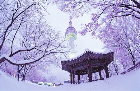 Ổ khóa tình yêu ở tháp N Seoul, Hàn Quốc