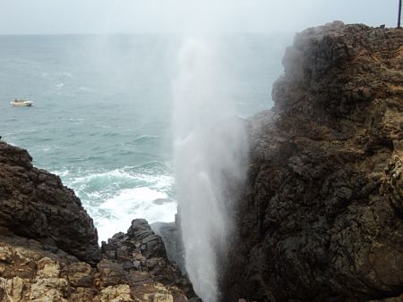 Sri Lanka, mình thấy gì trong lúc uống trà