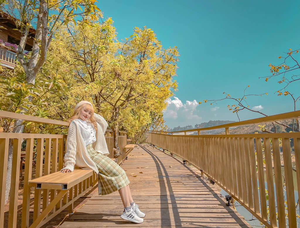 Khám phá 'con đường Hàn Quốc' lãng mạn ngay giữa lòng Đà Lạt