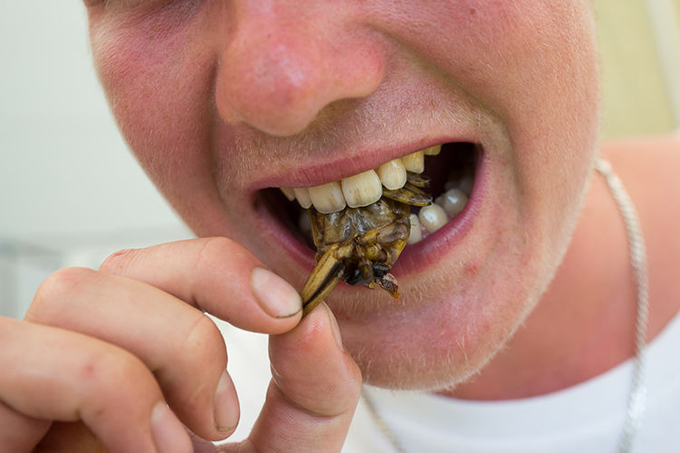 Những lễ hội ẩm thực độc đáo vòng quanh thế giới