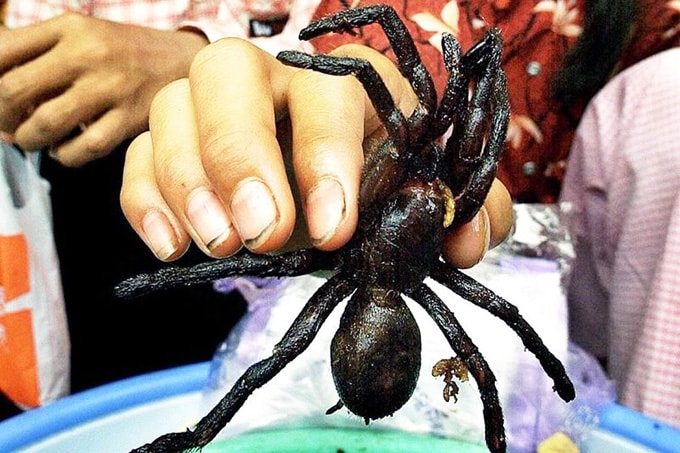 Đặc sản nhện đen Campuchia thách thức khách du lịch