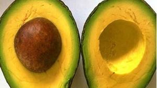 Nét Độc Đáo Từ Kem Bơ Đà Lạt