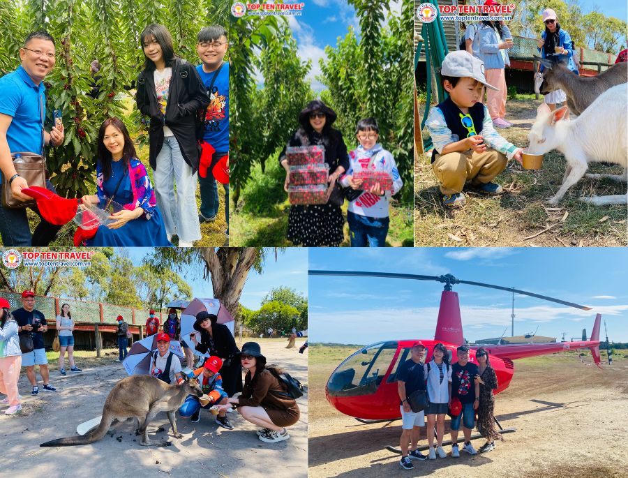 Tour du lịch Úc Mùa Xuân: Sydney - Melbourne| 6N6D