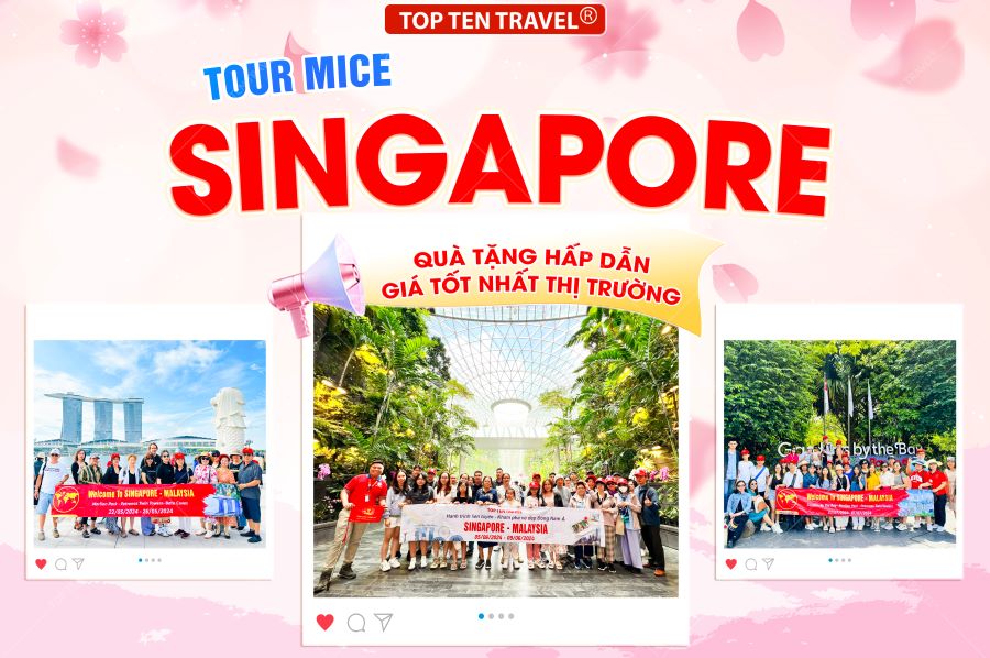 Tour Mice Singapore