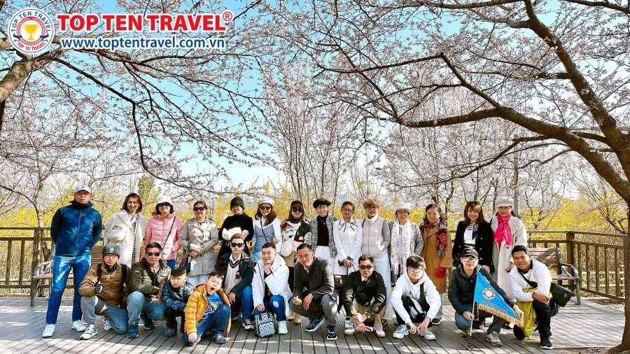 Tour Mice Hàn Quốc