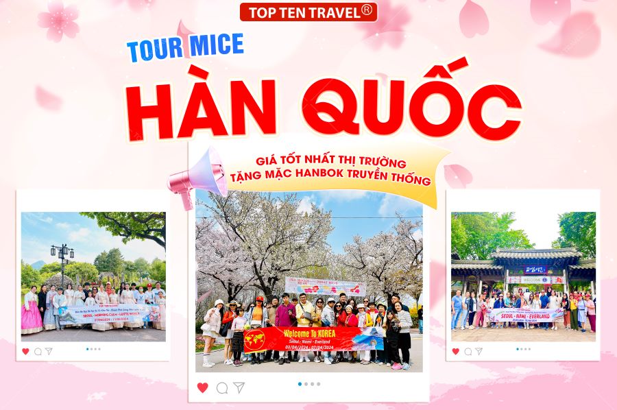 Tour Mice Hàn Quốc