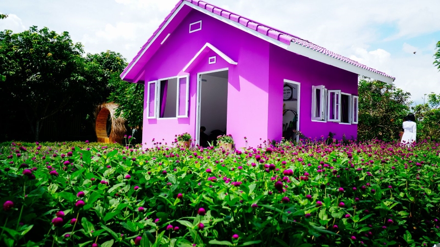 Tour Châu Đốc - Cần Thơ 2N2Đ