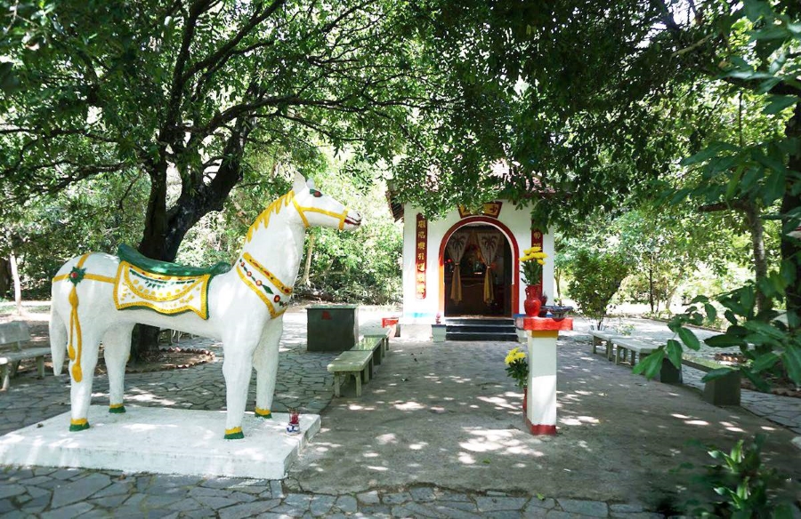 Tour Du Lịch Côn Đảo Huyền Thoại | 3N2D