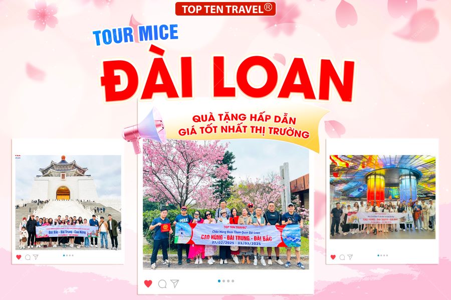 Tour Mice Đài Loan