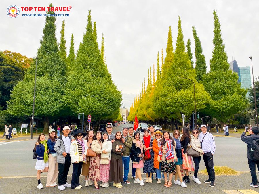 Tour Nhật Bản Lễ 2/9 Mùa Hoa Hướng Dương 6N5D