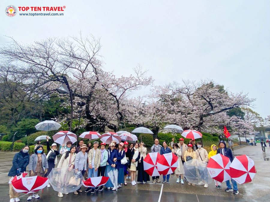 Tour Nhật Bản Mùa Thu: Nagoya - Kamikochi - Yamanashi - Phú Sĩ - Tokyo