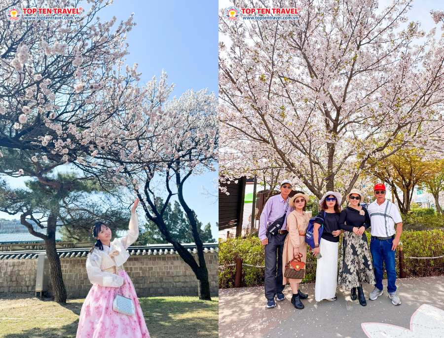 Tour Hàn Quốc Lễ 30/04: Seoul - Nami - Everland 5N4Đ