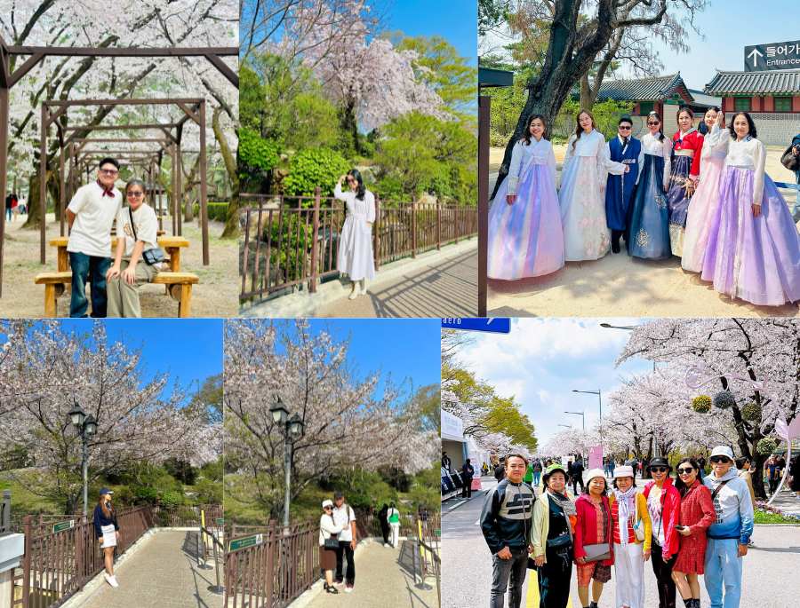 Tour Hàn Quốc Lễ 30/04: Seoul - Nami - Everland 5N4Đ