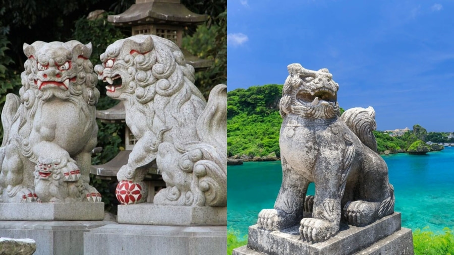 Khi đi du lịch Okinawa, bạn sẽ không khỏi ngạc nhiên khi thấy những bức tượng chó Shisa hiện diện ở khắp mọi nơi
