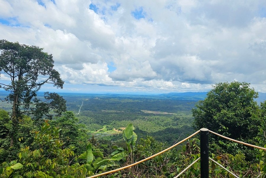 Khu rừng Peradayan là điểm đến lý tưởng dành cho những du khách yêu thích trekking