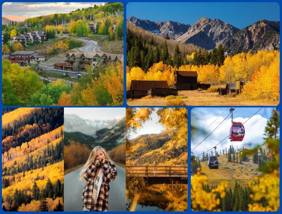 Vào mùa thu, Aspen lại rực sáng với những rặng cây dương lá rung rinh trong sắc vàng óng ánh