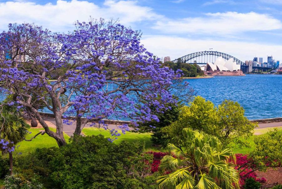 Mùa xuân là khoảnh khắc hoàn hảo để bạn ghé thăm Royal Botanic Gardens