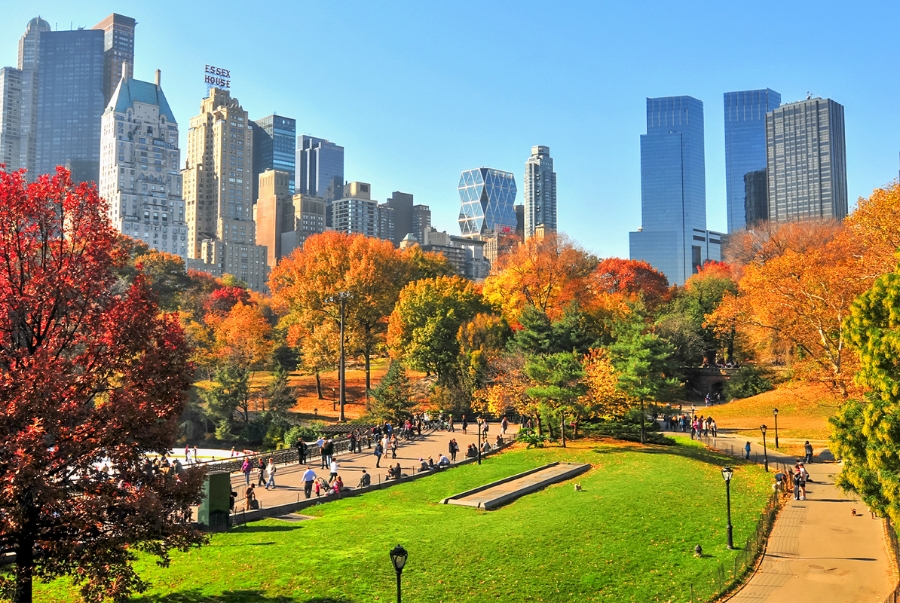 Central Park vào thu trở thành điểm đến lý tưởng để chiêm ngưỡng lá thu lãng mạn