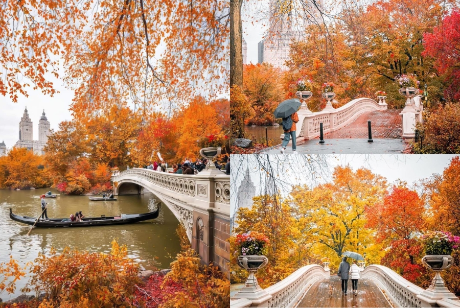 Bow Bridge là một trong những điểm check-in hot nhất tại Central Park vào mùa thu