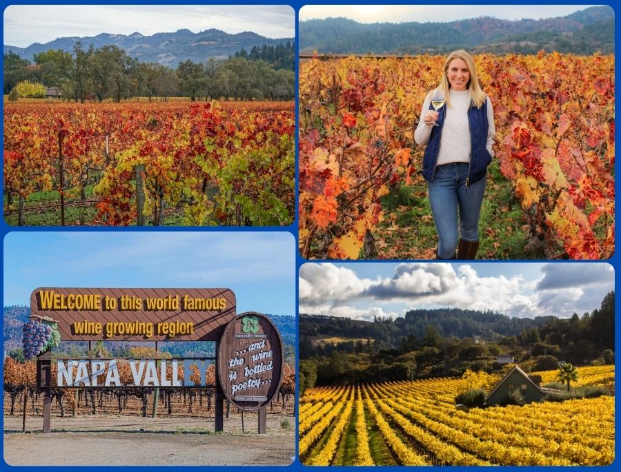 Thung lũng Napa, California là nơi giao thoa giữa nông nghiệp và nghệ thuật mùa thu