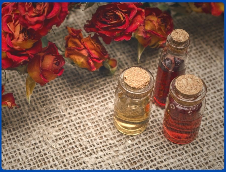  Tinh dầu hoa hồng được chiết xuất lạnh là một món quà cao cấp của Lệ Giang