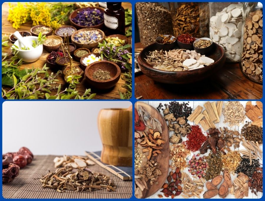 Lệ Giang nằm gần vùng cao Tây Tạng, nơi có nguồn dược liệu thiên nhiên dồi dào