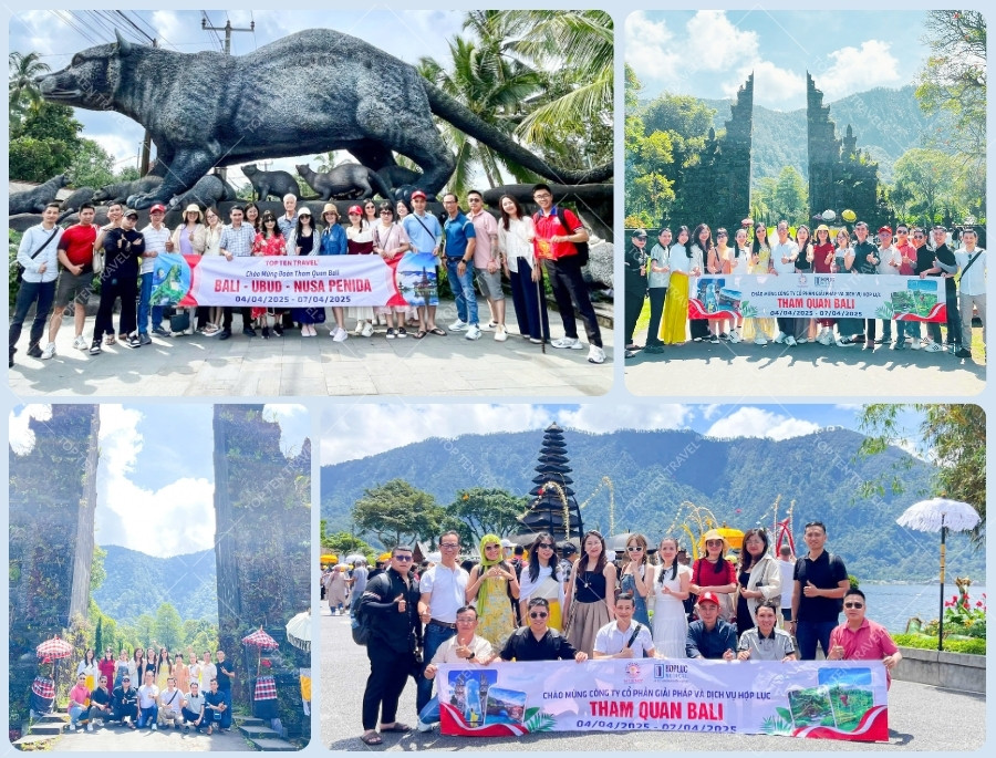 Một chương trình tour được thiết kế dựa trên mục tiêu và bản sắc riêng của Hợp Lực Medical