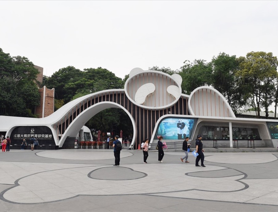 Trung tâm nghiên cứu và nhân giống gấu trúc khổng lồ Thành Đô là địa điểm ngắm gấu trúc tuyệt đẹp tại Thành Đô