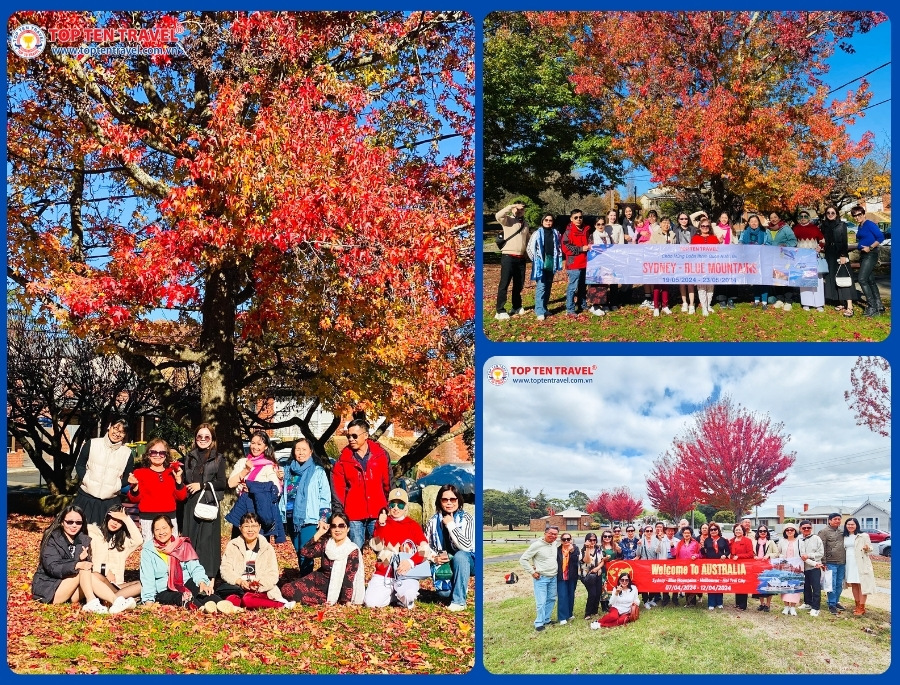 Vẻ đẹp lãng mạn với những hàng cây thay lá tại Úc vào mùa thu