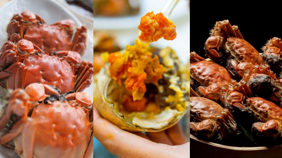 Nếu có cơ hội đi du lịch Thượng Hải vào mùa thu thì bạn nhất định phải thưởng thức Da Zha Xie