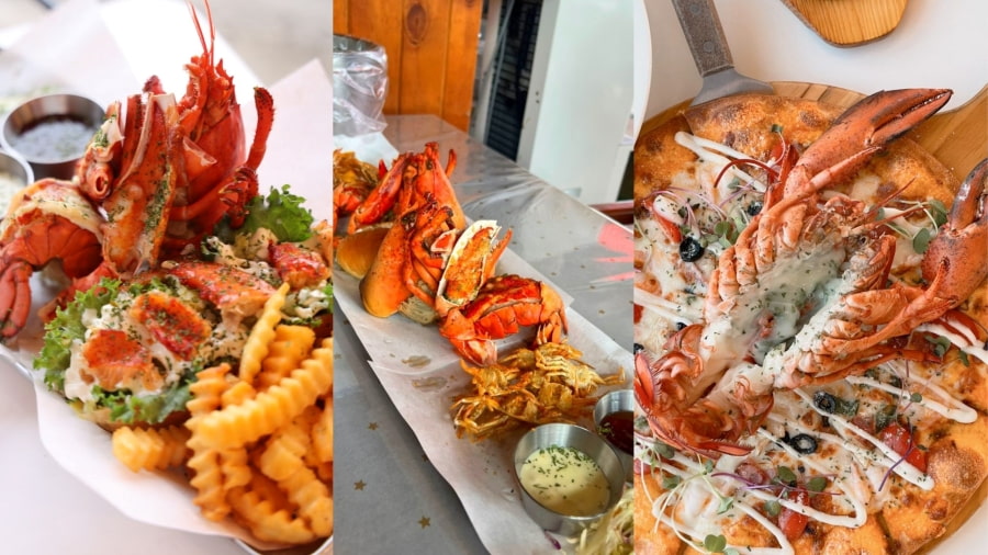 Tôm hùm Jeju là một lựa chọn đẳng cấp dành cho những ai muốn trải nghiệm sự sang trọng và hương vị tuyệt hảo từ biển cả tại Jeju