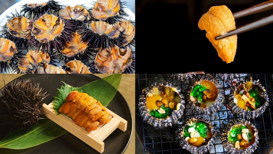 Nếu bạn là tín đồ của hương vị biển cả tinh túy, nhum biển nướng chắc chắn là món ăn bạn không thể bỏ lỡ khi đi du lịch Jeju