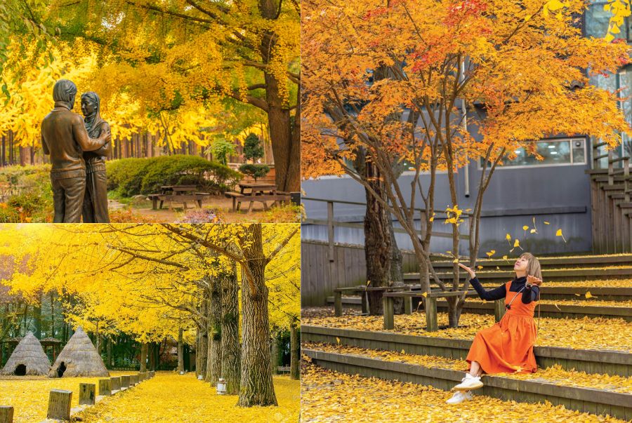 Đảo Nami sở hữu rất nhiều con đường ngân hạnh vàng óng kéo dài rực rỡ