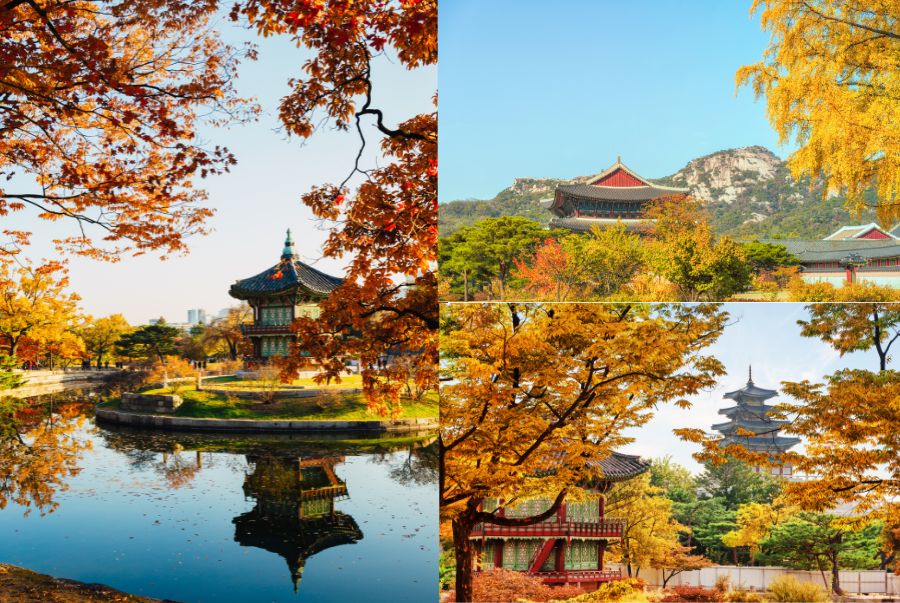 Ngoài vẻ đẹp lãng mạn, Gyeongbokgung còn hiện lên như một dấu ấn của lịch sử của Hàn Quốc.
