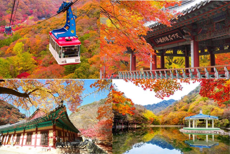 Vườn quốc gia Naejangsan là thiên đường mùa thu ở miền Nam Hàn Quốc