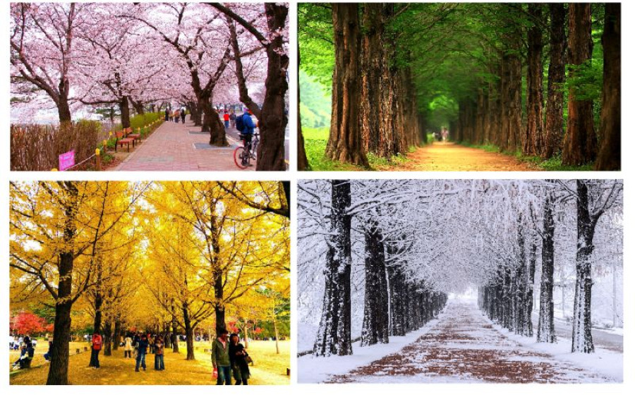 Hàn Quốc nằm trong vùng khí hậu ôn đới với những trải nghiệm thời tiết vô cùng đặc sắc và rõ rệt qua bốn mùa