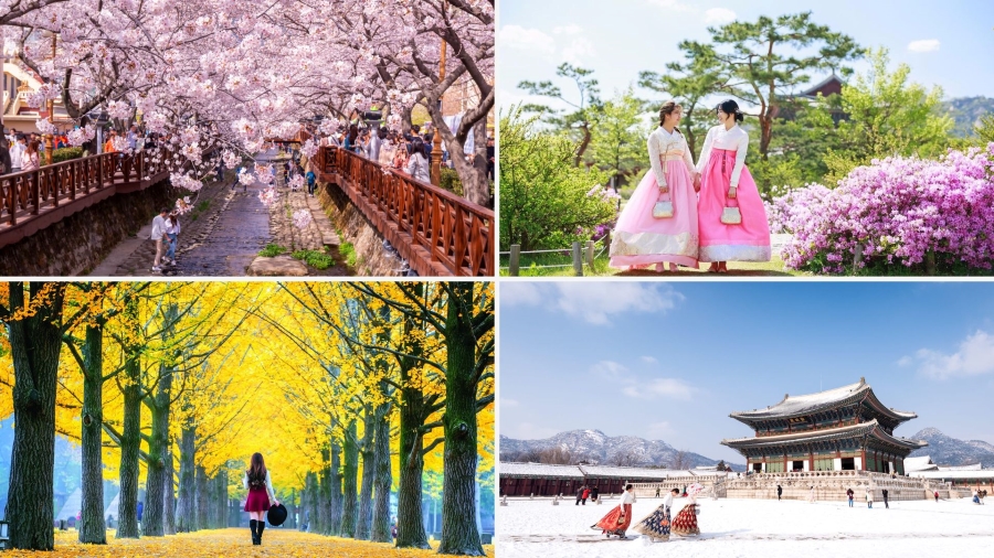 Mỗi mùa mang đến một sắc thái và trải nghiệm độc đáo riêng biệt